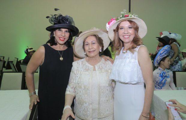 Damas Diplomáticas en favor de la niñez