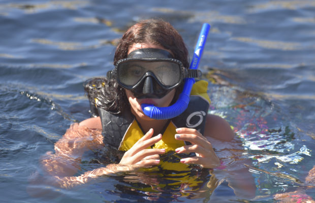 Ocean World Adventure Park ofrece nuevos juegos acuáticos y un enfoque ecológico este verano 2017