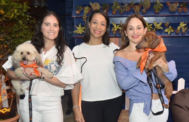 Fundación Doggie House y Tito’s Vodka #Vodka For Dog People realizan esfuerzo común a favor de  nuestros homólogos caninos