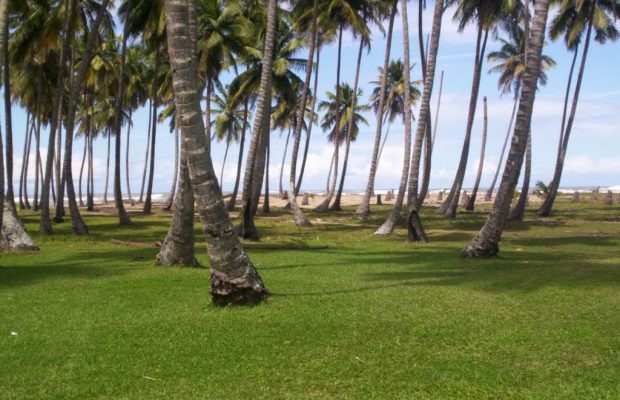 Resalta potencial turístico de Nagua