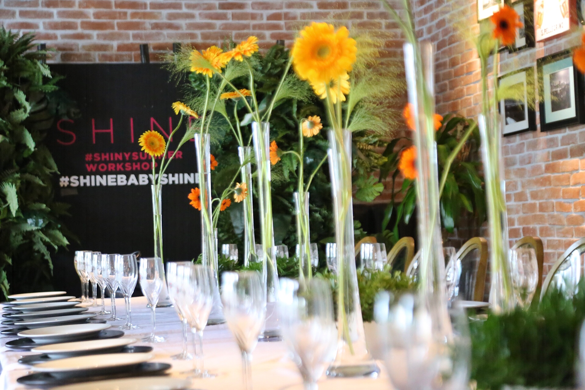 Montaje de Casa Porcelana 5