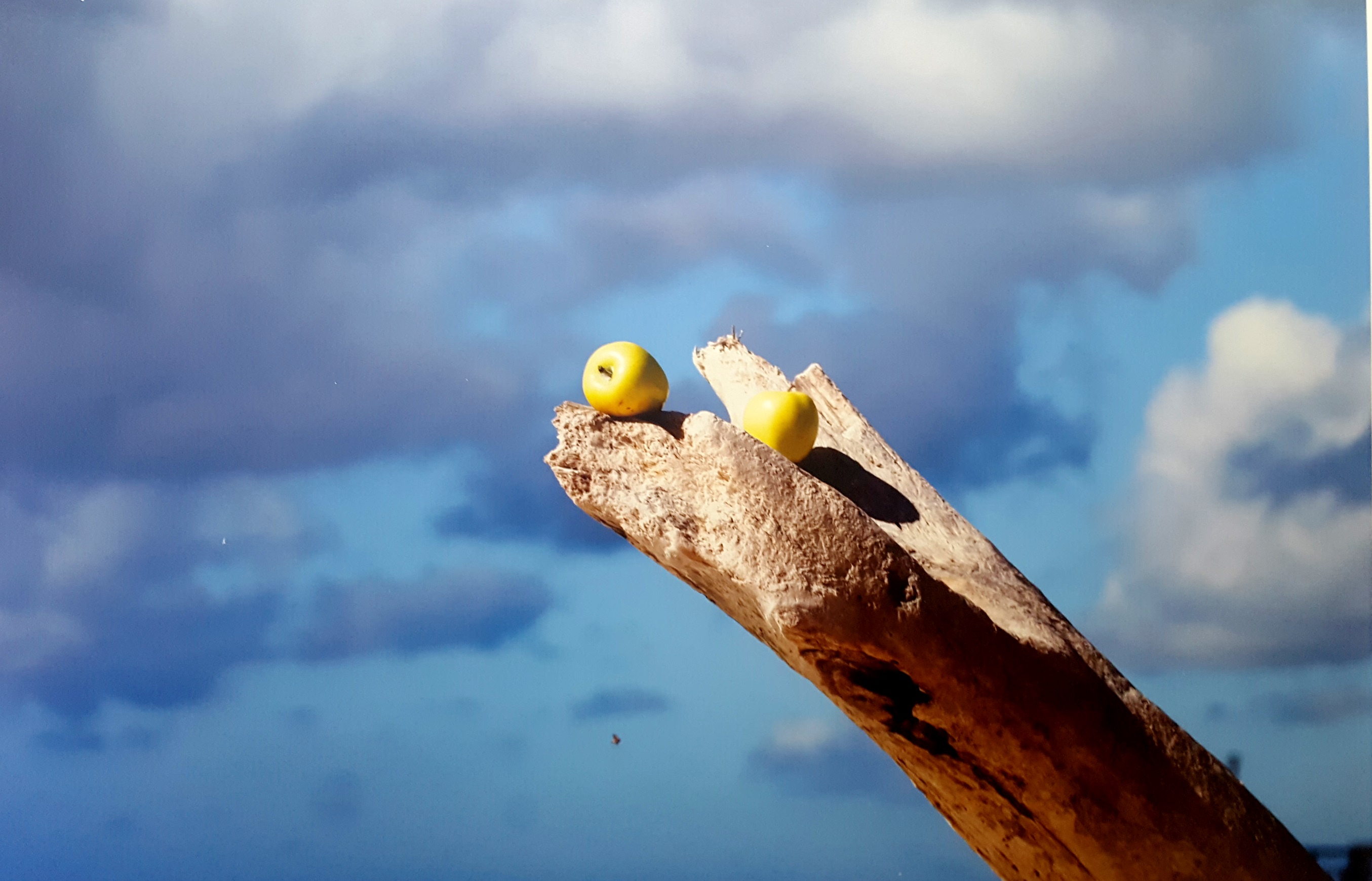 Foto Angela Hernandez en Sri Lanka
