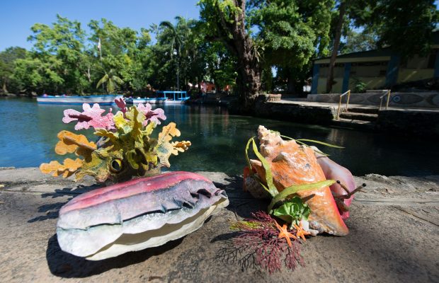 Carnavarengue” único carnaval marino en el mundo, Orgullo de María Trinidad Sánchez