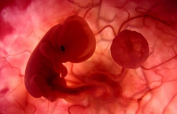 El aborto, un problema moral, social y emocional