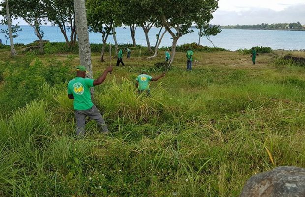 Limpia varias zonas en operativos organizados por Embellecimiento