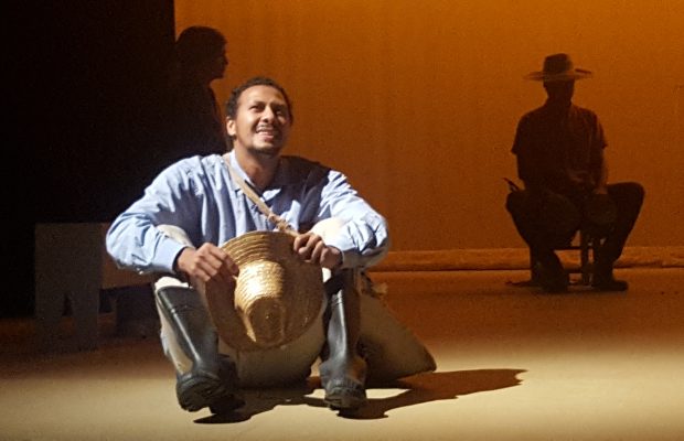 Una Rosa imperdible, cuando Bosch se siente noble, intimo, rural y  poeta.