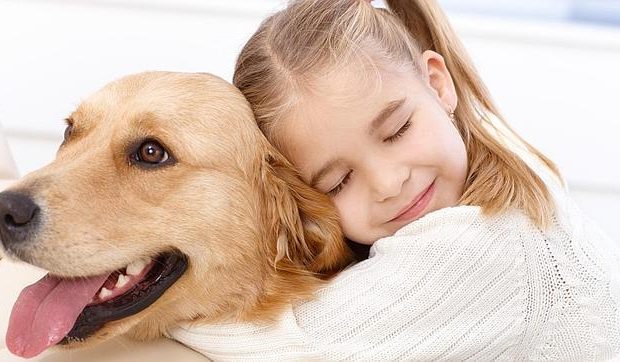 ¨Happy Jau¨, una campaña que promueve el respeto y cuidado a los animales