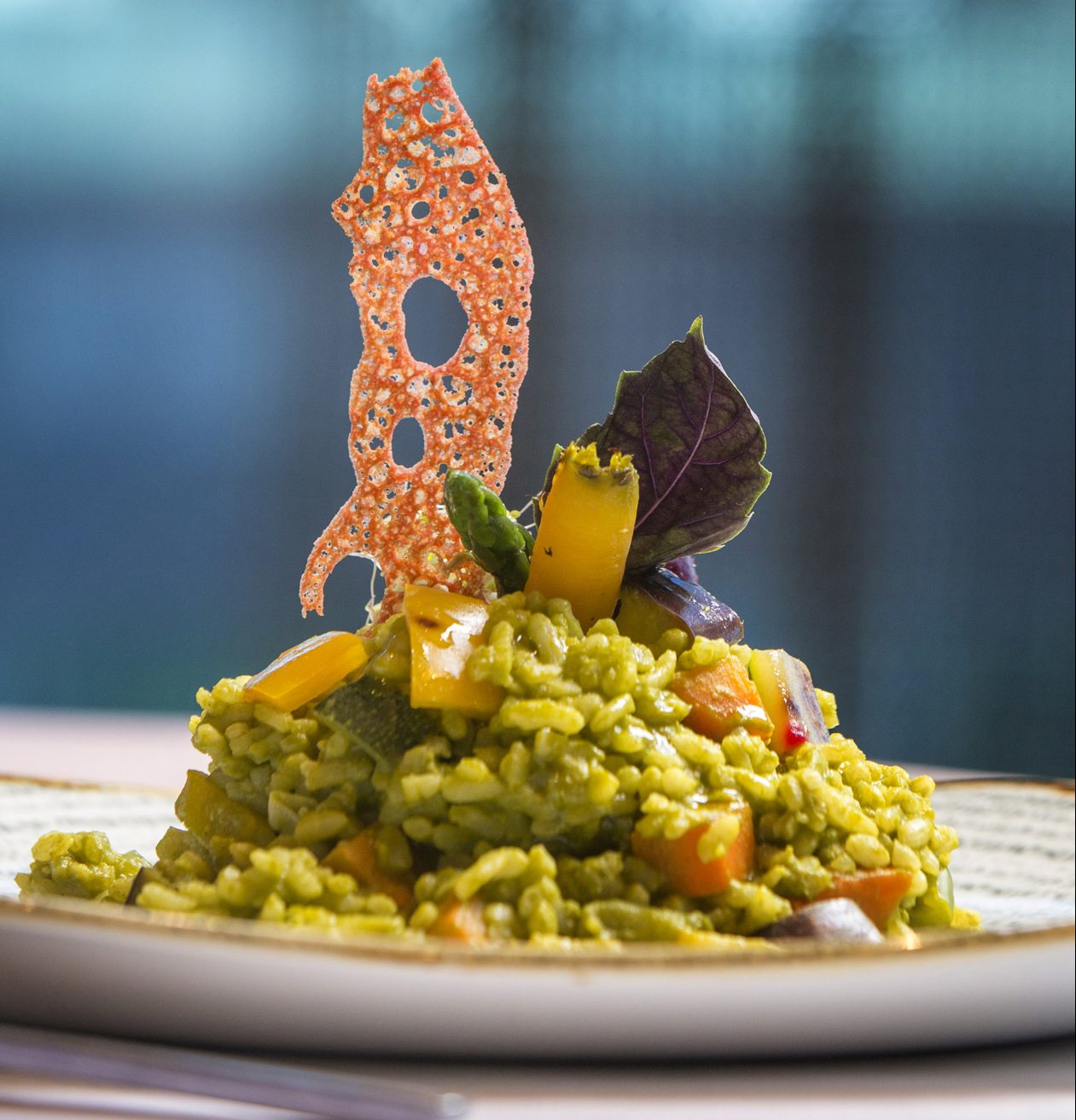 Filigrana_Santo Domingo3