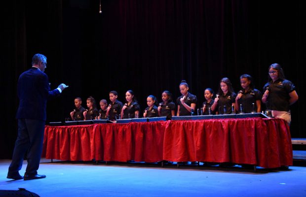 Memorable concierto Un Intrumento, una voz