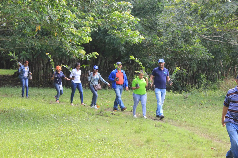 Personal del Hospital Ney Arias Lora camino sembrar El Bosque de la Salud