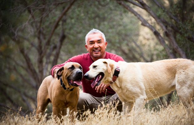 César Millán, “El encantador de perros” al jaragua el 9 de junio