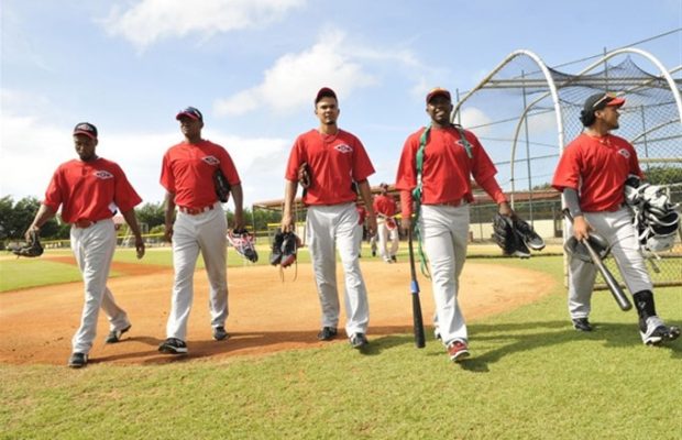 Leones del Escogido deja en libertda 16 jugadores