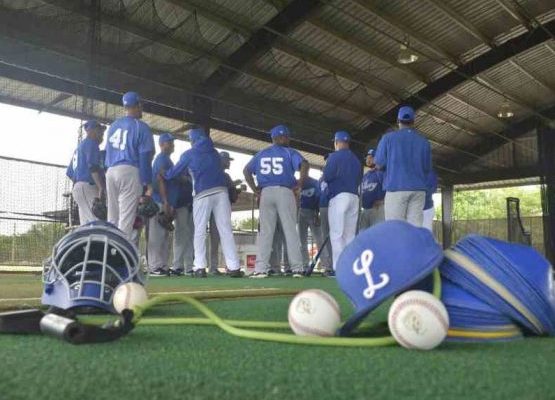 Los Tigres del Licey anuncia fecha de sus entrenamientos
