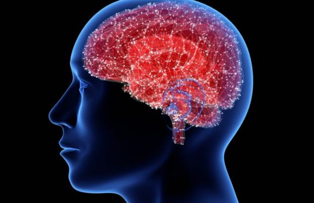 Los misterios del Cerebro Femenino