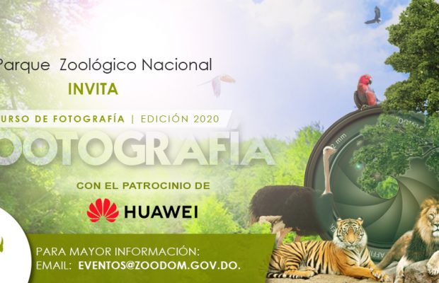 Zootografía 2020, un concurso para premiar la mejor imagen