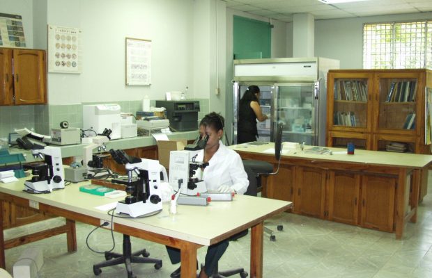 Emiten boletín preventivo ante propagación del coronavirus