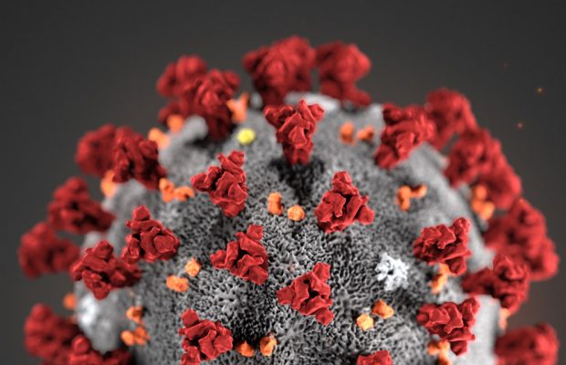 Acortemos la  “vida útil” del virus causante del COVID-19