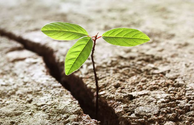 La resiliencia: capacidad de adaptación de cara a la adversidad, eventos traumáticos e infortunios