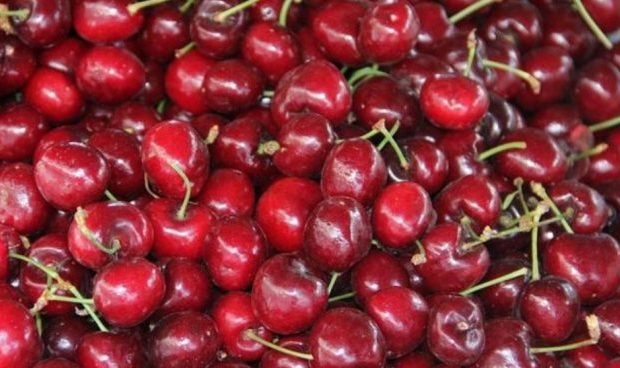 Conoce los beneficios de consumir cerezas