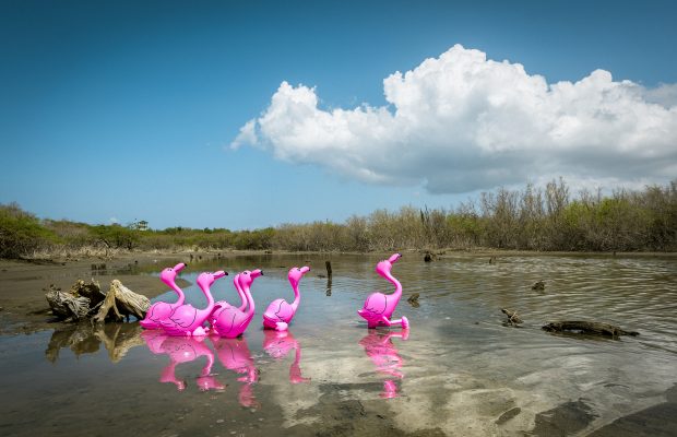 La Era Plasteozoica: una eco-distopía animada
