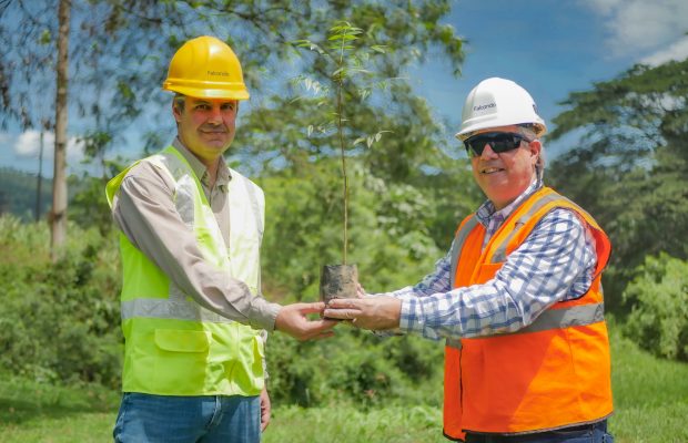 FALCONDO celebra Día Mundial del Árbol