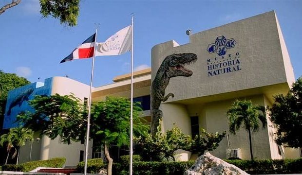 Museo Nacional de Historia Natural continúa conferencias virtuales sobre la diversidad animal