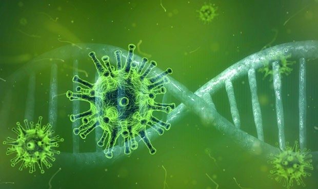 Sociedad Dominicana de Infectología llama a la calma ante preocupación por metaneumovirus