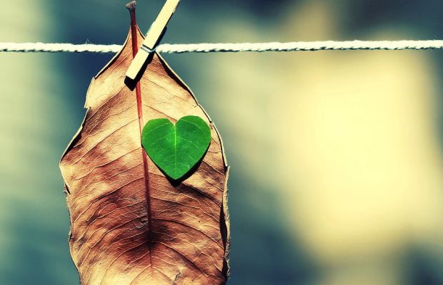 Confía, respira, vive!