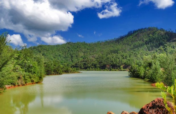 Falcondo garantiza cantidad y calidad de agua en sus operaciones