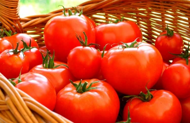 El tomate, un aliado de la próstata