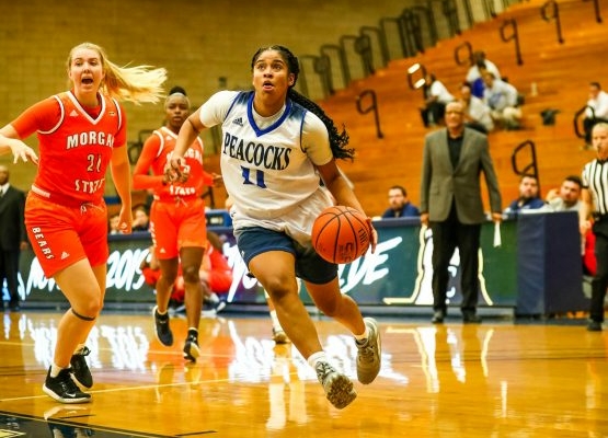 Dominicana Yamel Abreu participará en liga de baloncesto profesional en Nueva York