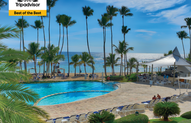 Xëliter Marbella galardonado con el TripAdvisor® Travelers’ Choice 2020