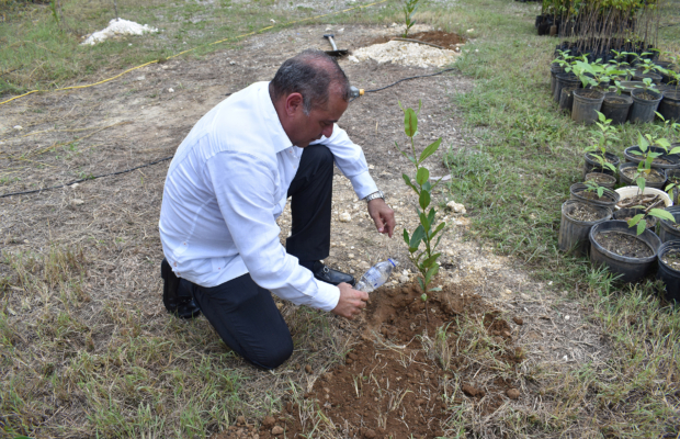 Fundación Ecológica Río Chavón realiza jornada de reforestación