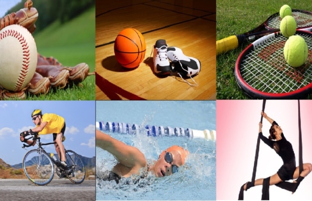 7 de noviembre, Día del Deporte