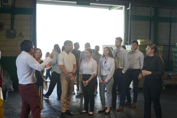 MicrosoftTeams-image (46)