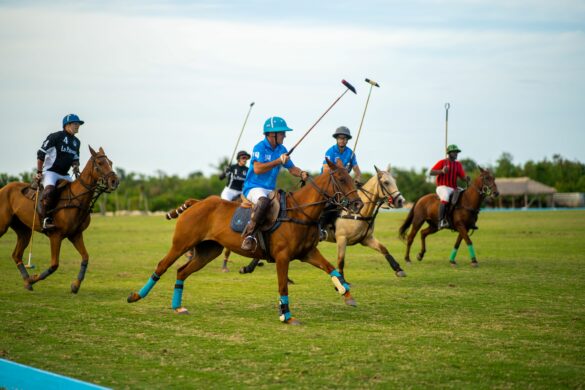 Torneo de Polo (3)