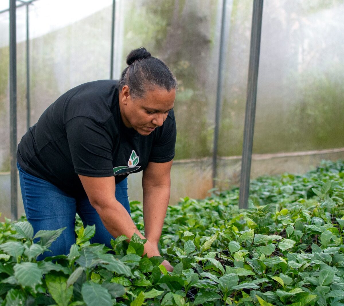 FORD ABRE CONVOCATORIA PARADONATIVOS AMBIENTALES FORD 2026