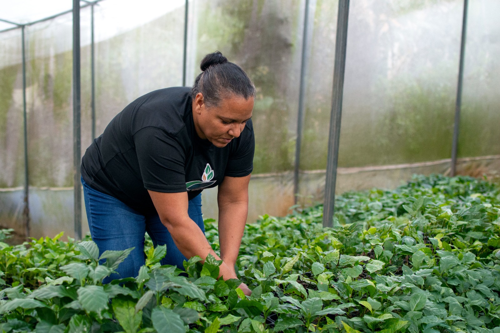 FORD ABRE CONVOCATORIA PARADONATIVOS AMBIENTALES FORD 2026