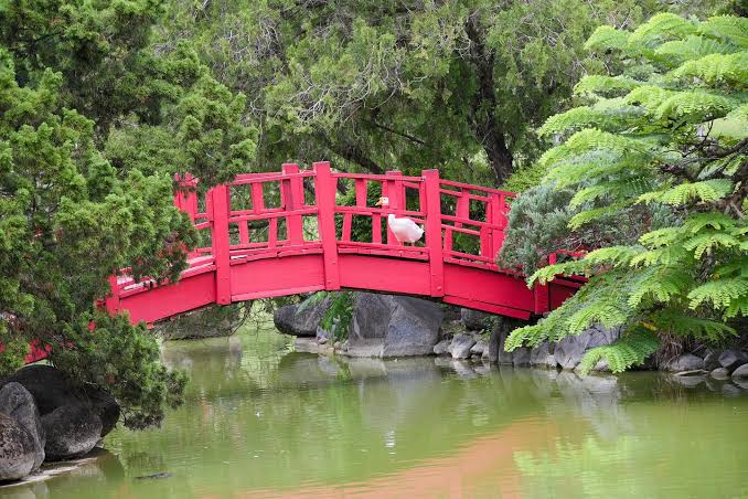 Santo Domingo se convierte en la capital científica del mundo con «Puentes Botánicos 2026»