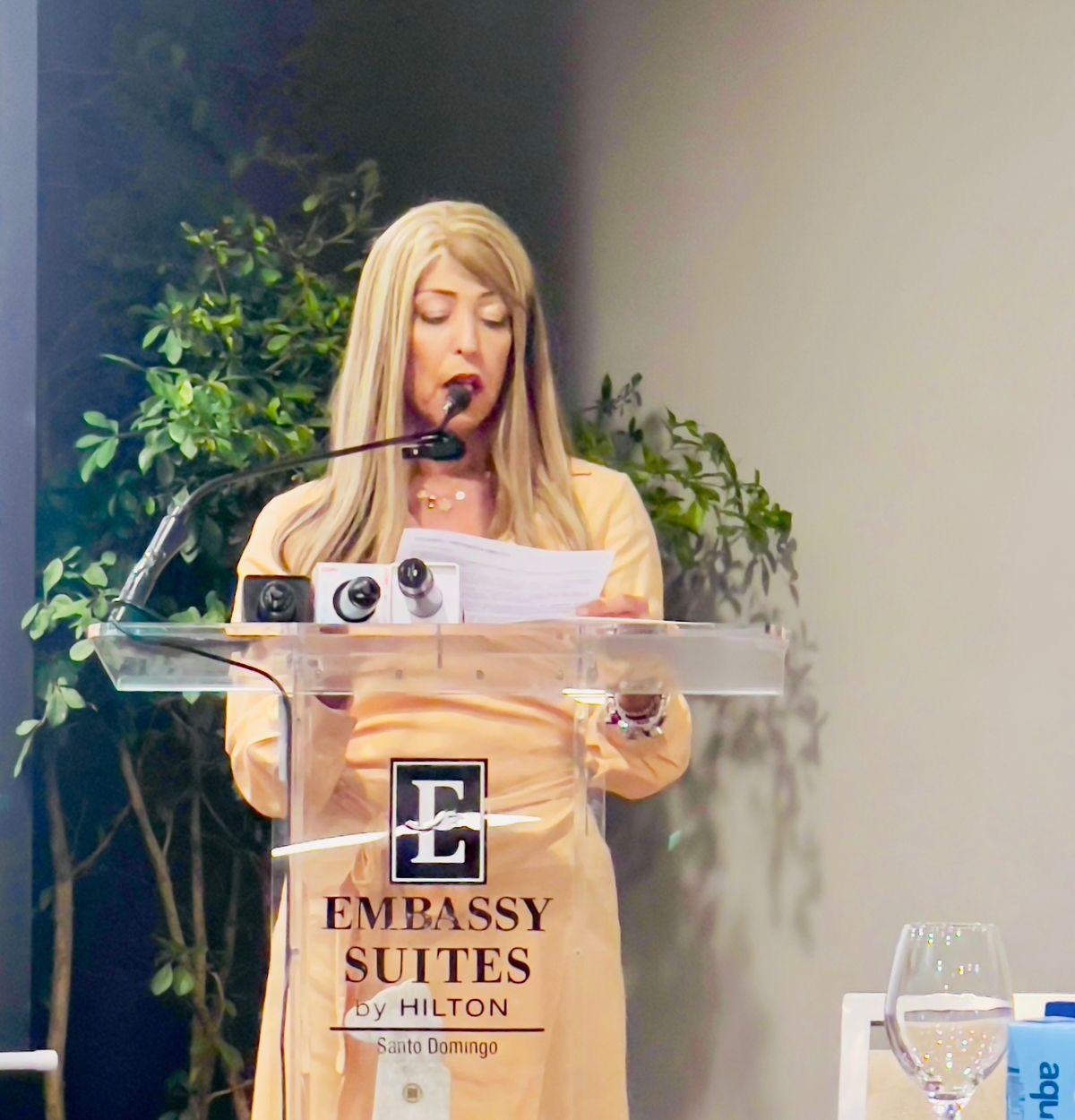 Gina Eli asume la AHSD: La hoja de ruta para convertir a Santo Domingo en el «hub» regional de negocios