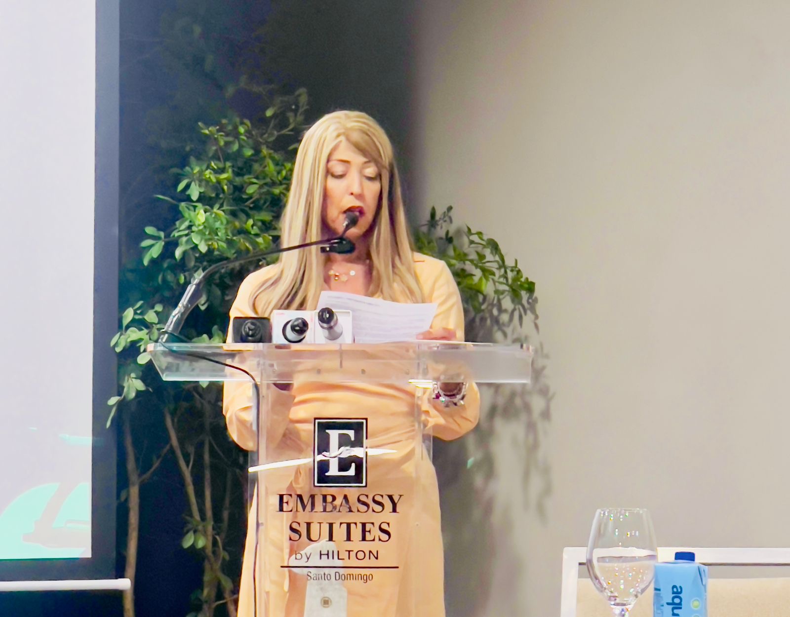 Gina Eli asume la AHSD: La hoja de ruta para convertir a Santo Domingo en el «hub» regional de negocios