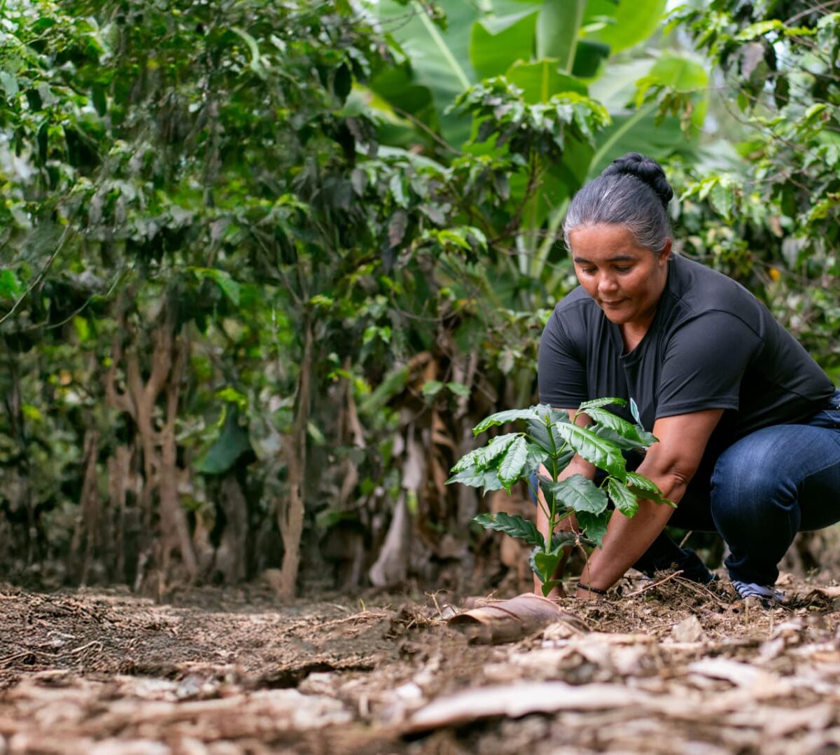 ÚLTIMAS DOS SEMANAS PARA POSTULAR PROYECTOS A DONATIVOS AMBIENTALES FORD 2026