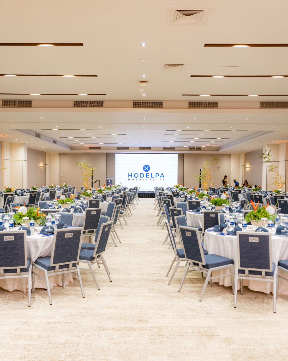 Hodelpa Hospitality brilla en los LAWA 2026 con cuatro importantes galardones