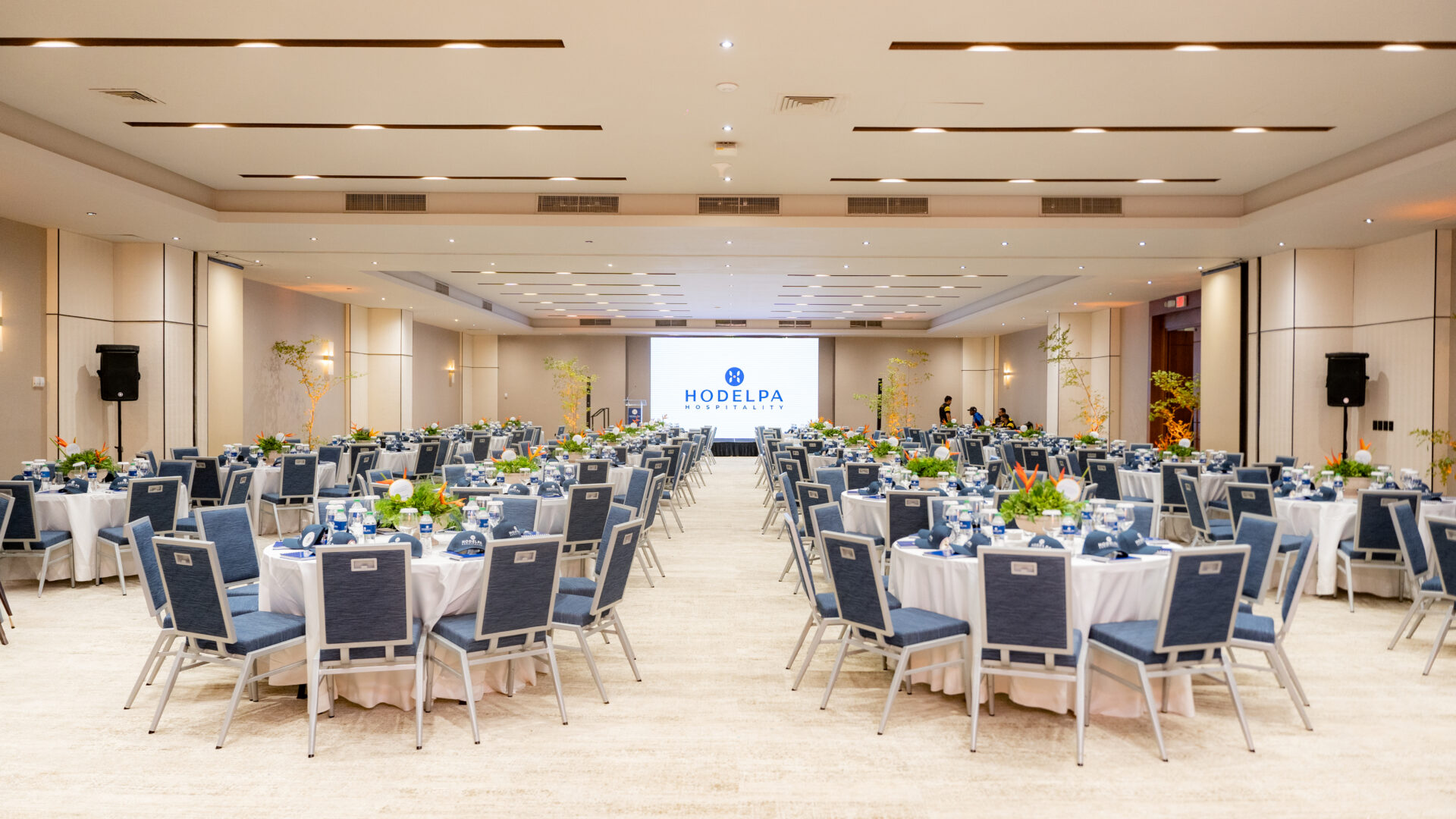 Hodelpa Hospitality brilla en los LAWA 2026 con cuatro importantes galardones