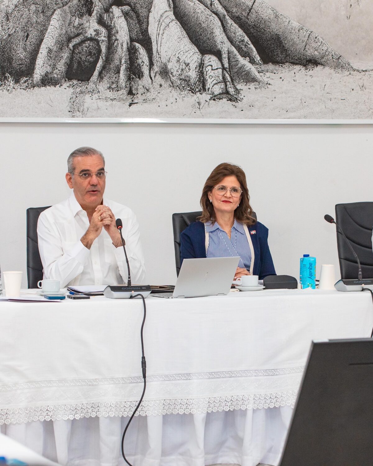 Consejo de Gobierno en Santiago: el plan estatal para mitigar la presión urbana en el Cibao