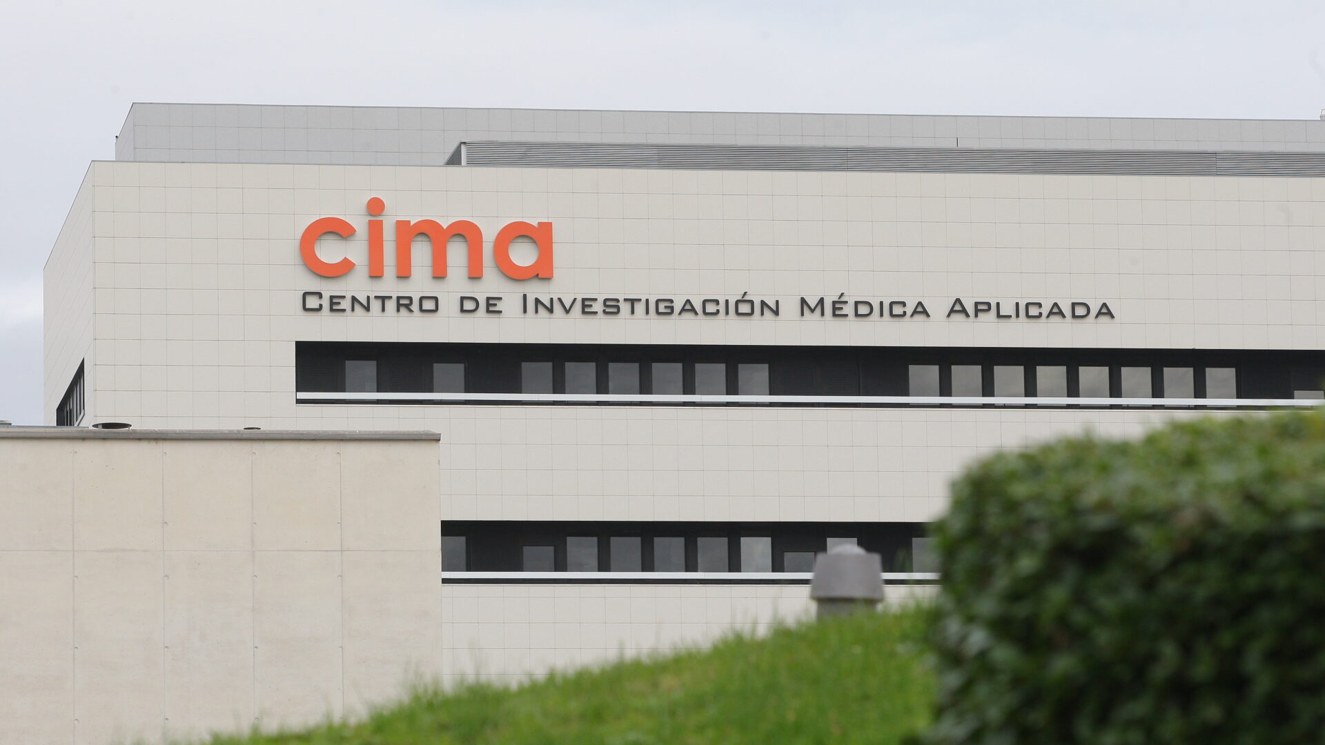 Grupo Lopesan impulsa una investigación pionera para personalizar el tratamiento del mieloma múltiple