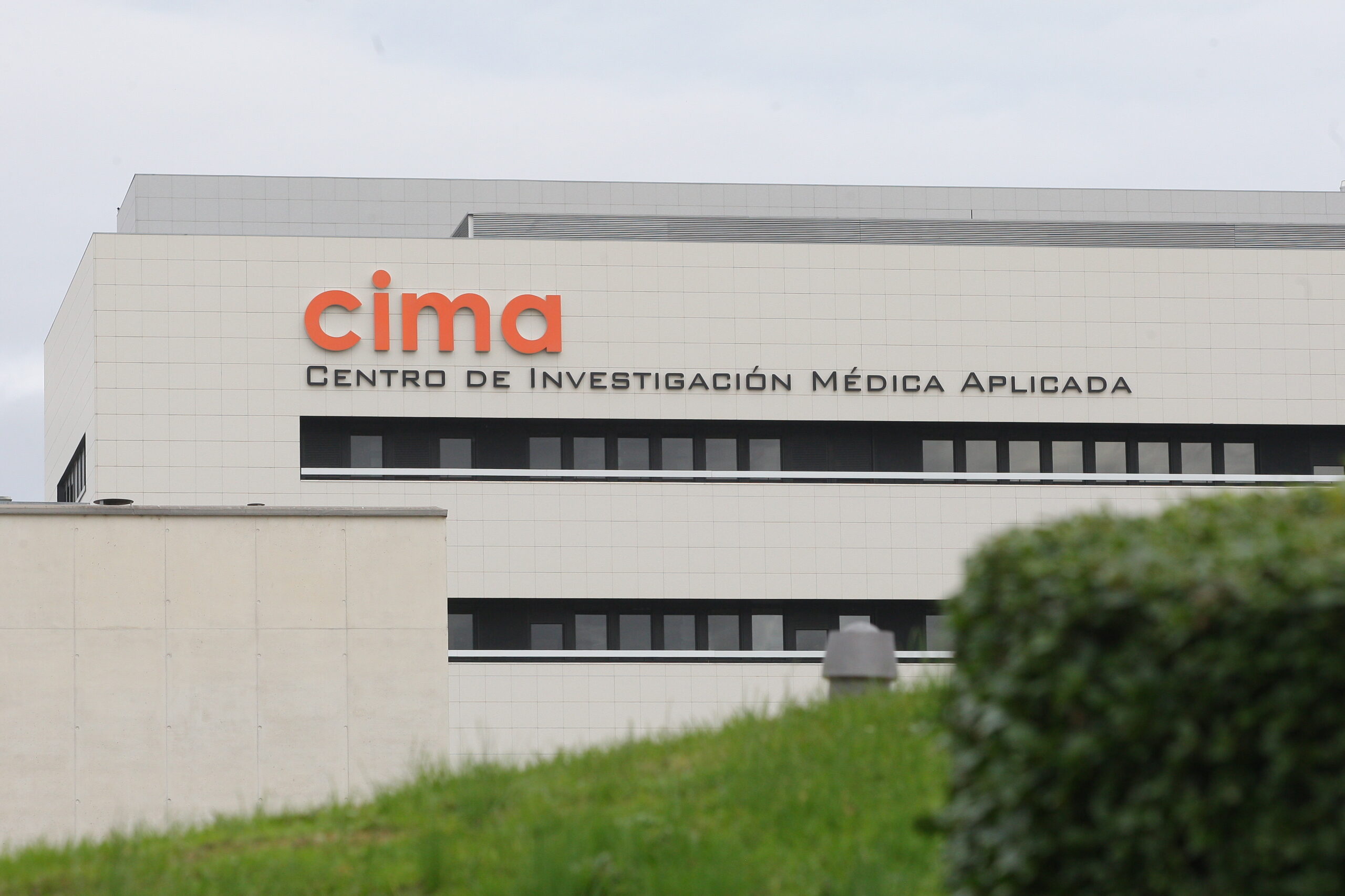 Grupo Lopesan impulsa una investigación pionera para personalizar el tratamiento del mieloma múltiple