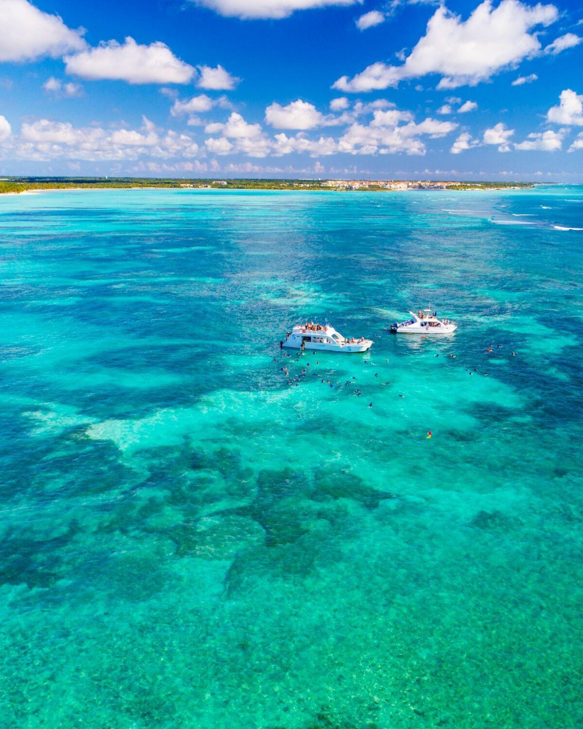 Paseo en catamarán y snorkel: una forma diferente de descubrir el Caribe en Cap Cana