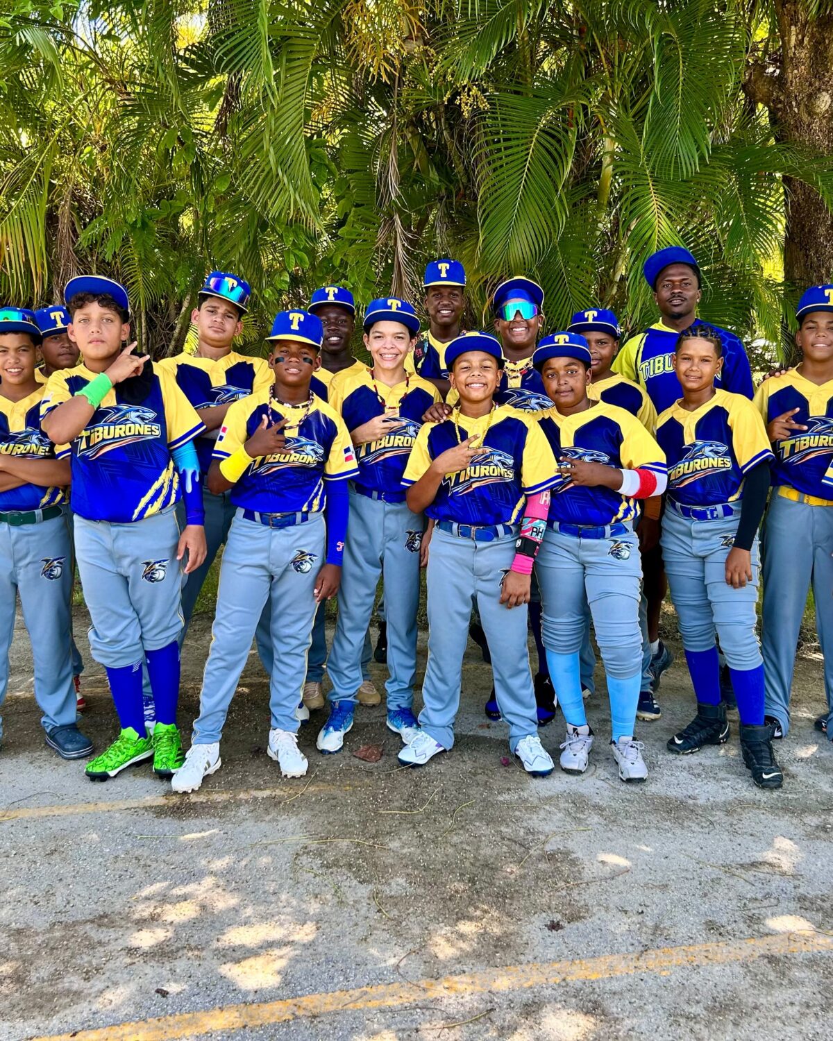 Tiburones domina varias categorías en TorneoInternacional de Béisbol Punta Cana JDM 2026