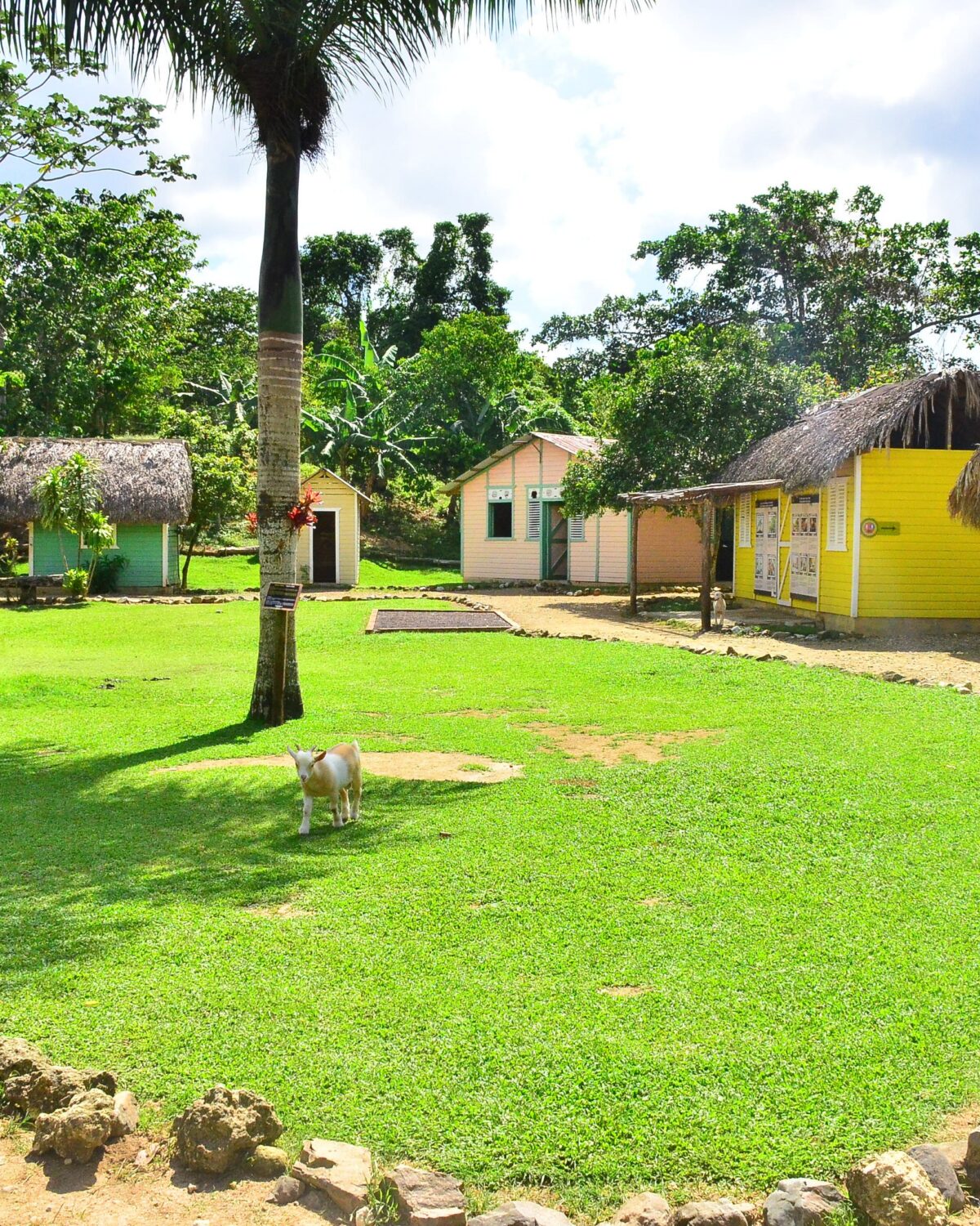 La Hacienda Park consolida su propuesta de aventura, cultura y naturaleza en República Dominicana